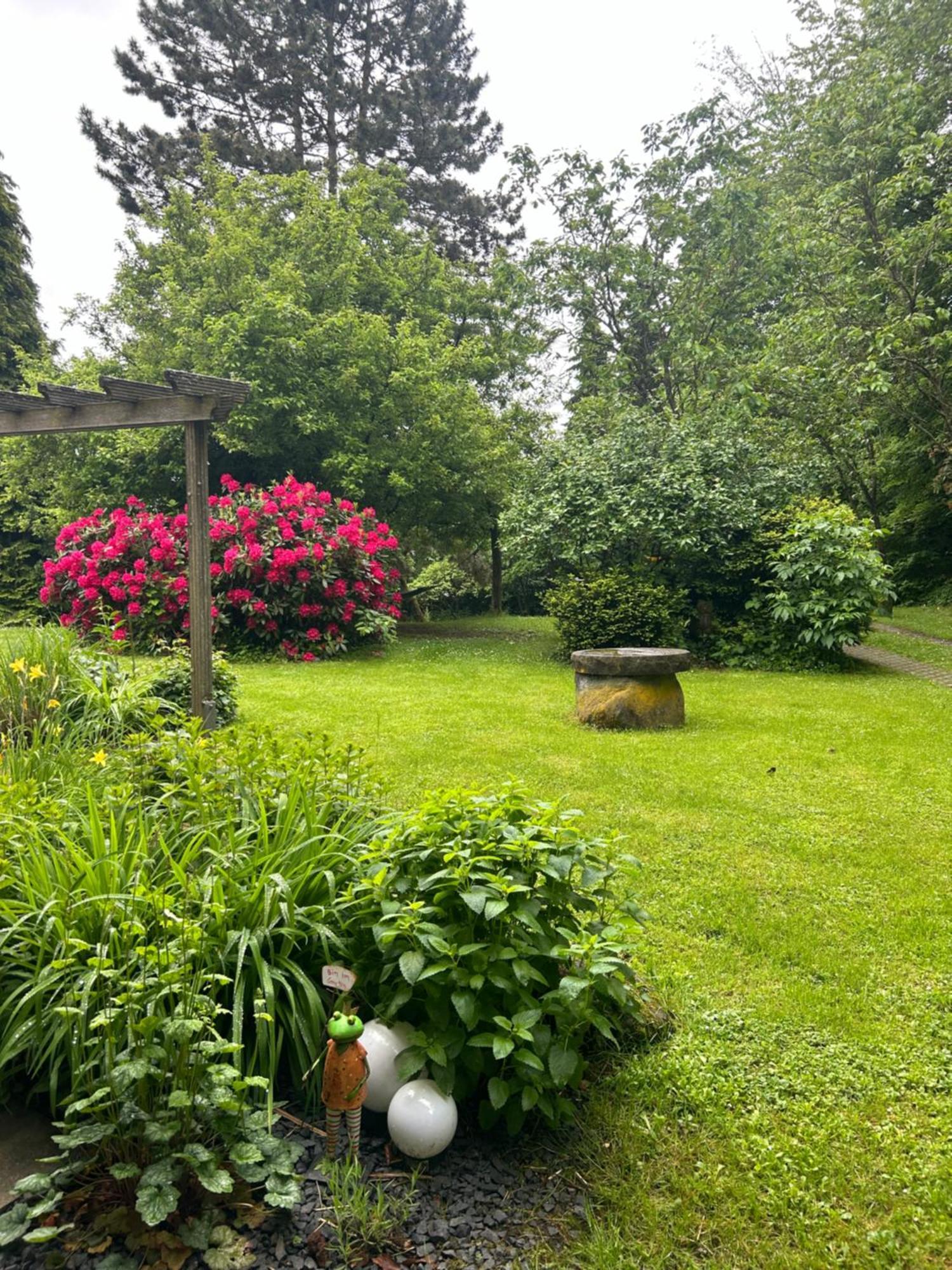Ferienapartments Engeln Eifel Kempenich Екстер'єр фото