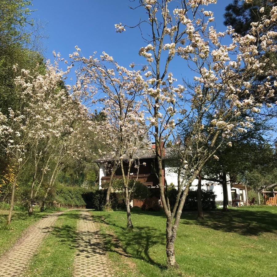 Ferienapartments Engeln Eifel Kempenich Екстер'єр фото
